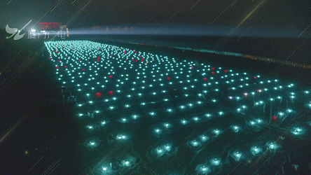 1574135108756816.gif 1.gif