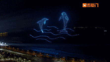 1574135458999169.gif 13.gif