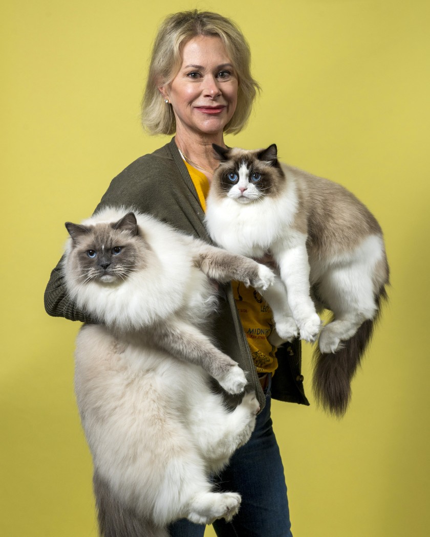 1582699338885028.jpg 4.jpg